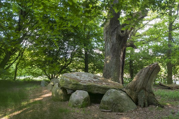 Large stone grave