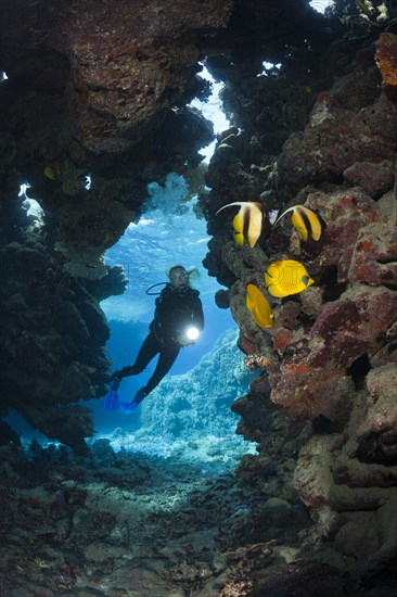 Diver in underwater cave