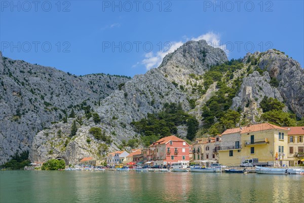 Omis