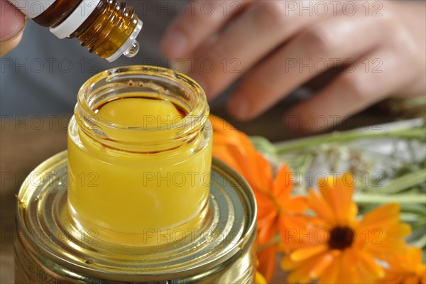 Production of yarrow and marigold ointment