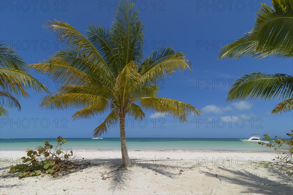 Varadero Beach