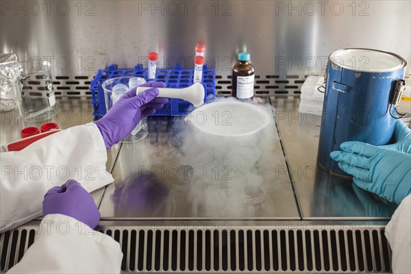 Female scientists of the biology department during RNA isolation and genetic engineering in the laboratories of the University of Duisburg-Essen