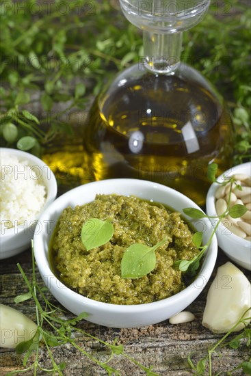 Chickweed pesto