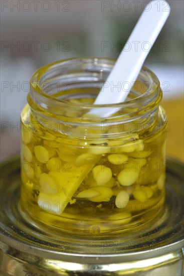 Production Yarrow ointment