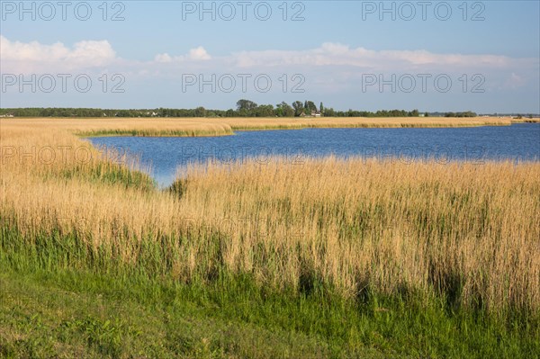 Zingst