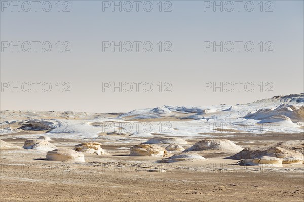 View over the white desert