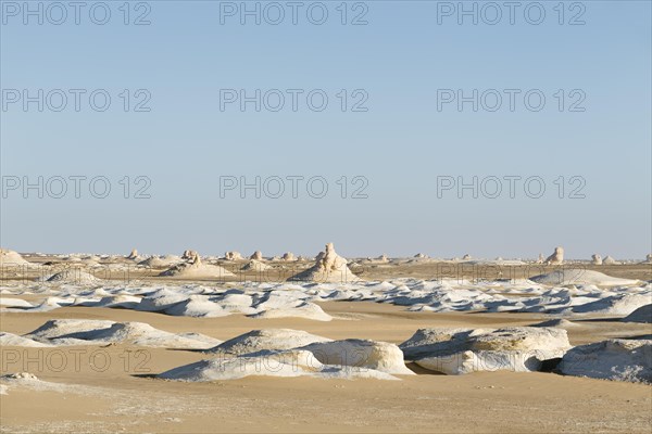 View over the white desert