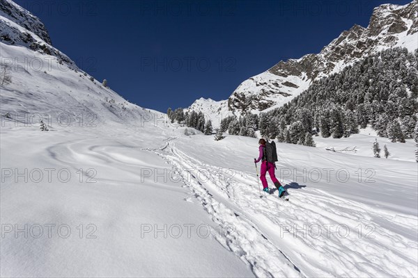 Lonely ski tourer