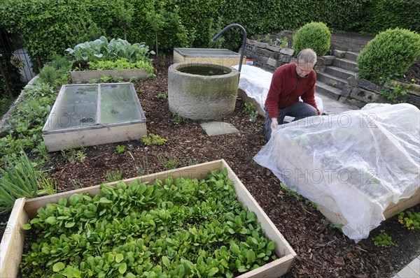 Creation of organic garden