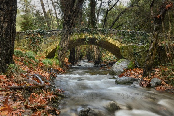 Venetian Bridge