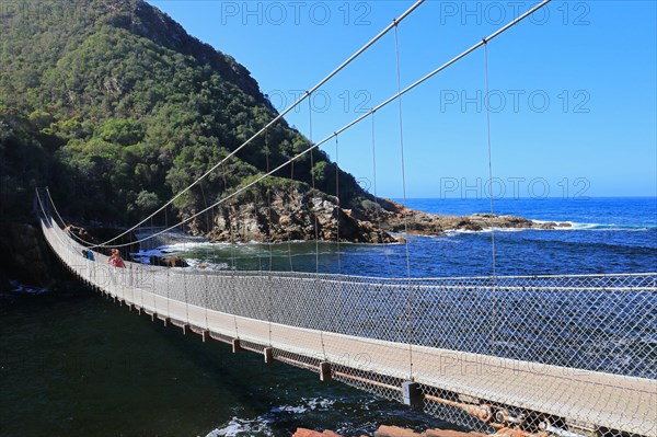 Suspension Bridge