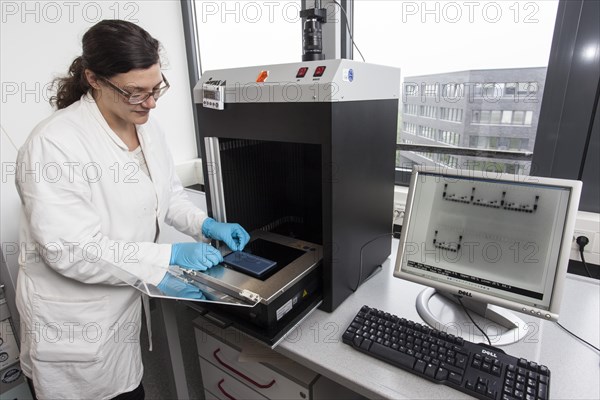 DNA gel electrophoresis for the detection of nucleic acids in the Biology Department at the University of Duisburg-Essen. DNA is made visible by means of UV light