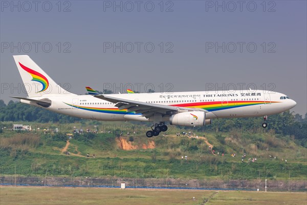 An Airbus A330-200 aircraft of Tibet Airlines with registration number B-8951 at Chengdu Airport