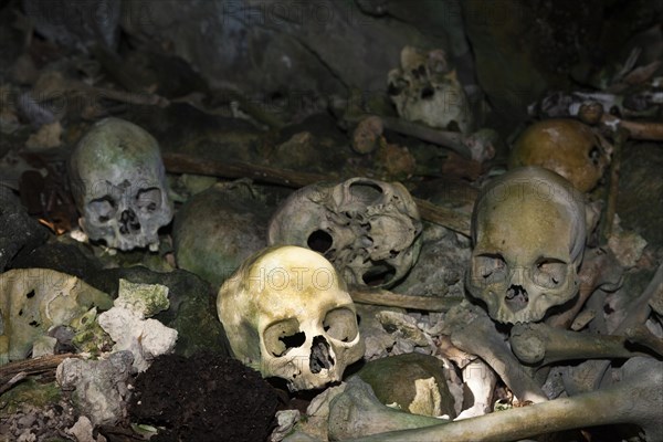 Ancient skulls in the Rock Islands near Malwawa