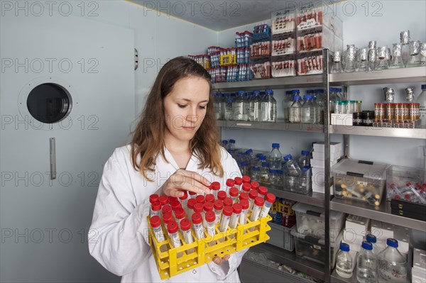 Scientist in the cold room at 4 degrees in the genetic engineering department in the faculty of biology at the University of Duisburg-Essen