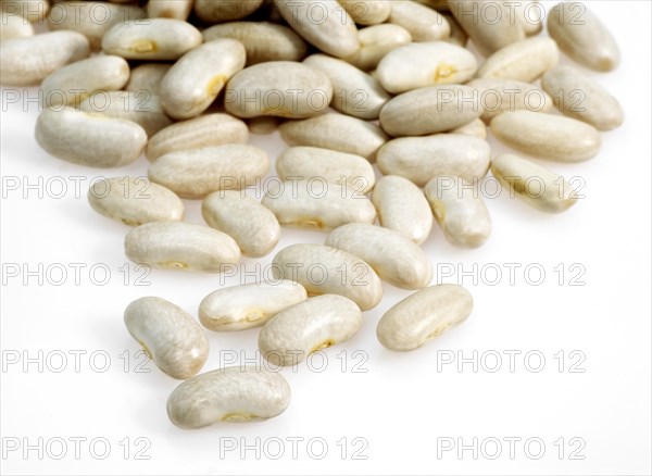 Garden bean