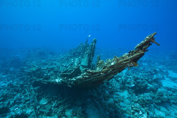 Bow of the Heaven One wreck