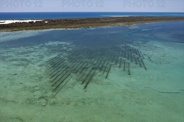 Oyster farm off Moreton Island