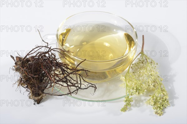 Cup meadowsweet tea