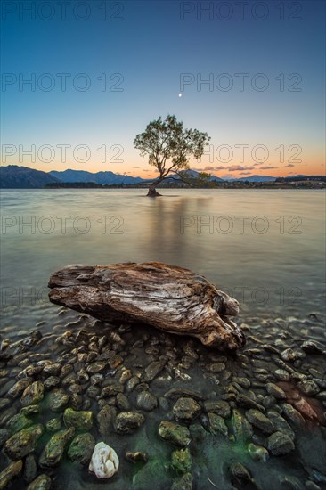 Lake Wanaka