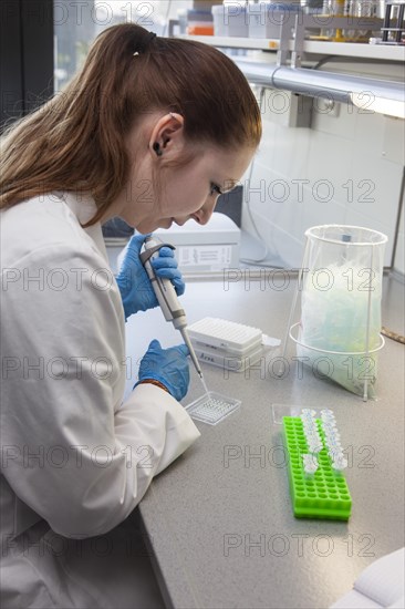 Student of the faculty of biology at the University of Duisburg-Essen during research work pipetting