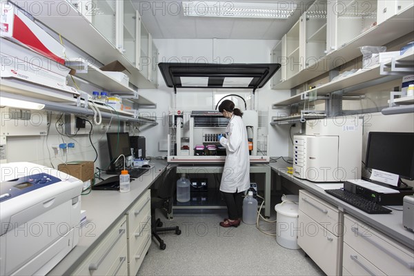 Research assistant at the pipetting robot of the Faculty of Biology at the University of Duisburg-Essen during research work