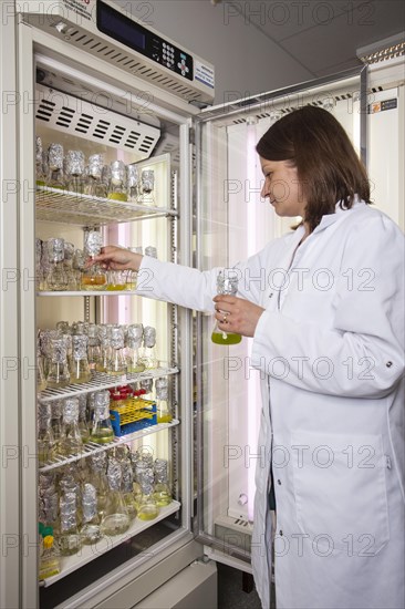 Scientist of biology at an incubator in the genetic engineering section of the laboratories of the University of Duisburg-Essen