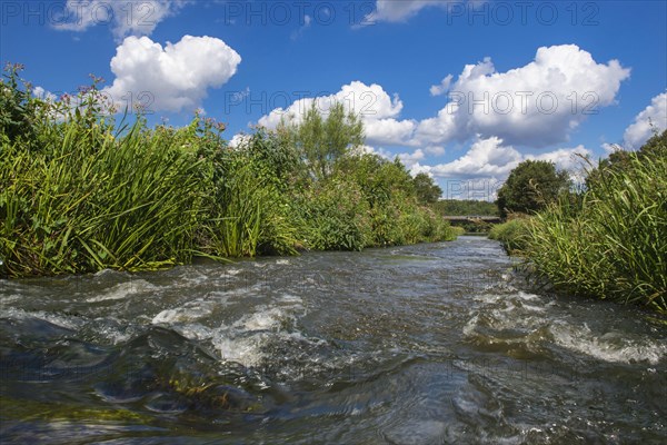 Fish ladder