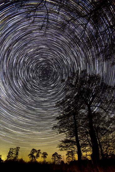 Star trails