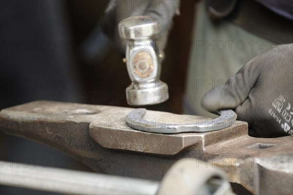 Farrier at work