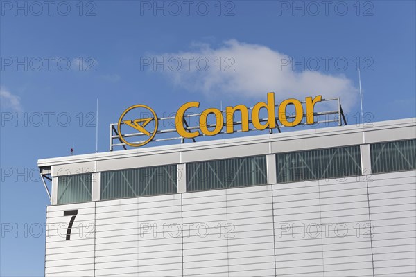 Condor