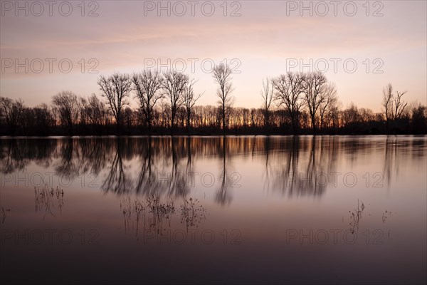 Sunrise at the Altrhein with nature reserve Bislicher Insel