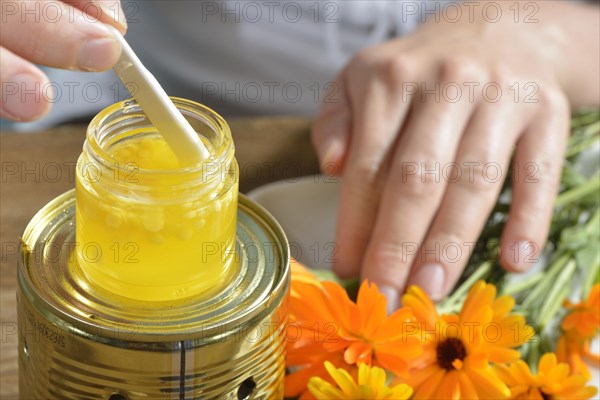 Production of yarrow and marigold ointment