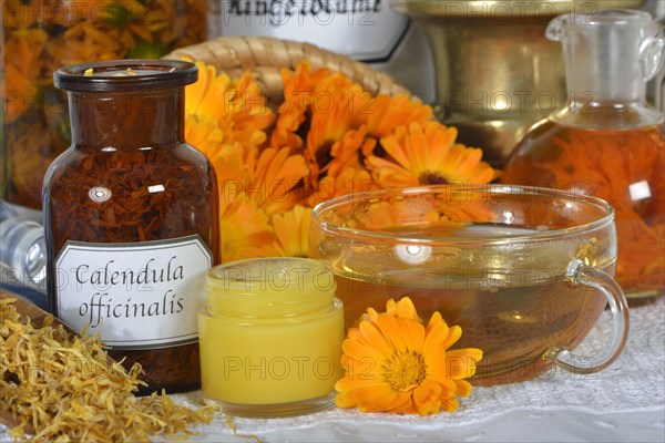 Calendula