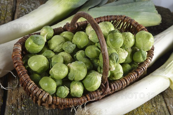 Brussels sprout