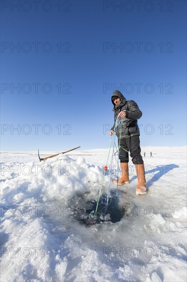 Ardahan