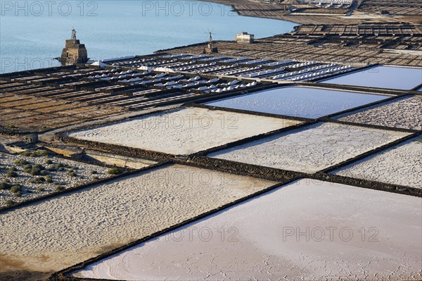 Salinas de Janubio