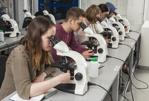 Students at the microscopy course in the Faculty of Biology at the University of Duisburg-Essen