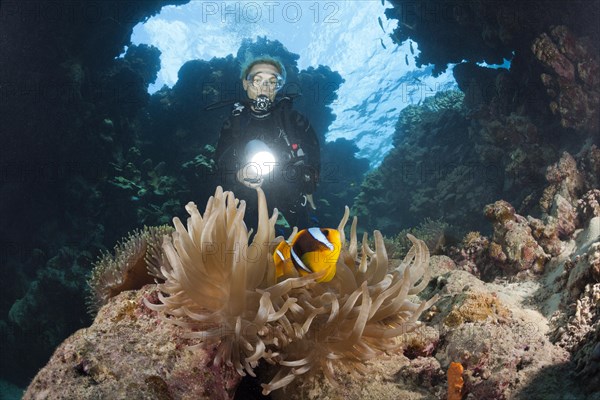 Diver in underwater cave