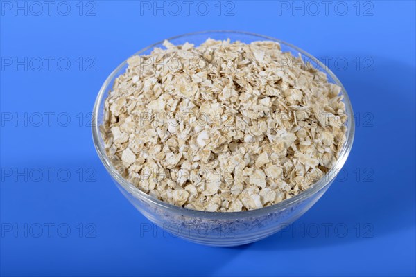 (Avena sativa) oatmeal