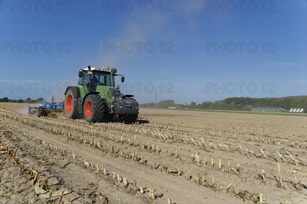 Farmer cultivating harvested maize field