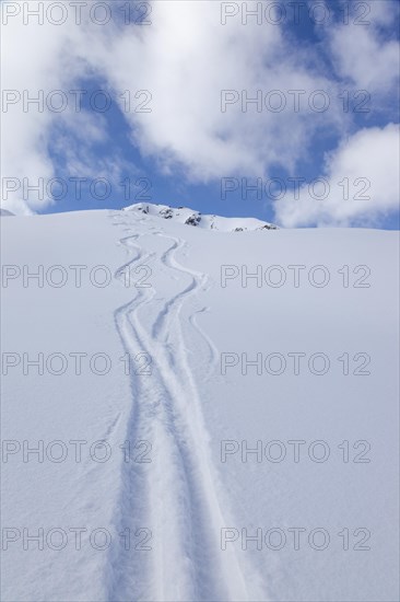 Two lonely ski tracks in front of a blue sky