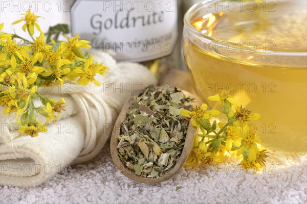 Cup goldenrod tea