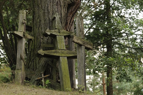 Weathered wooden crosses on the sacred mountain Grabarka