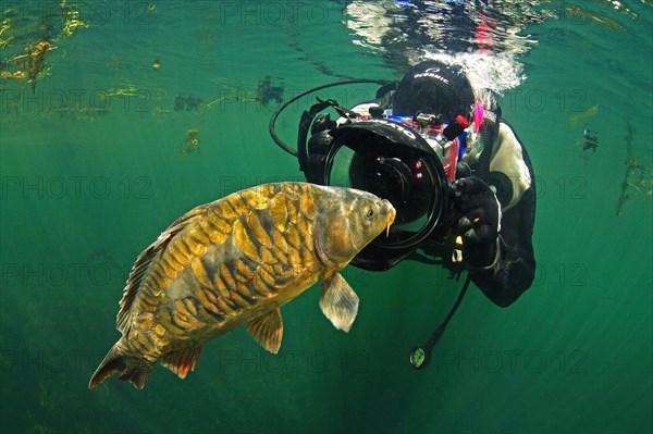 Diver with carp