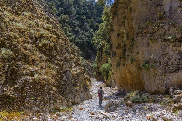 Aradena Gorge Gorge