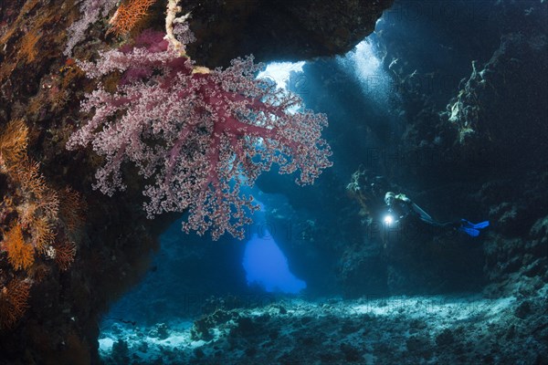 Diver in underwater cave