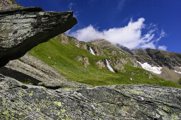 Mountain meadow