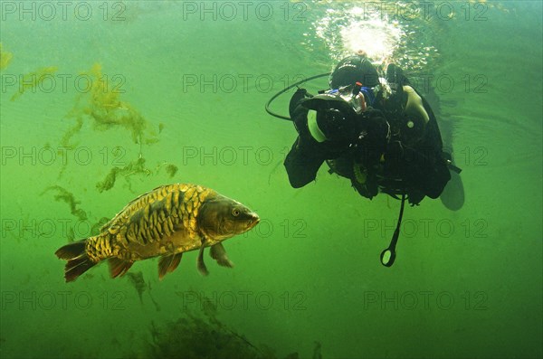 Diver with carp