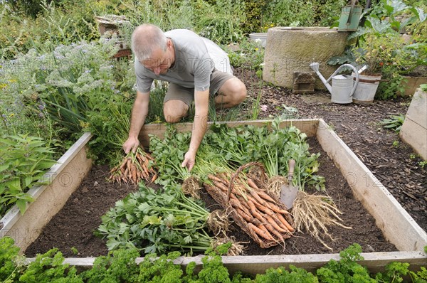 Organic garden